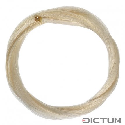 Par arcus viola mongolez Dictum 