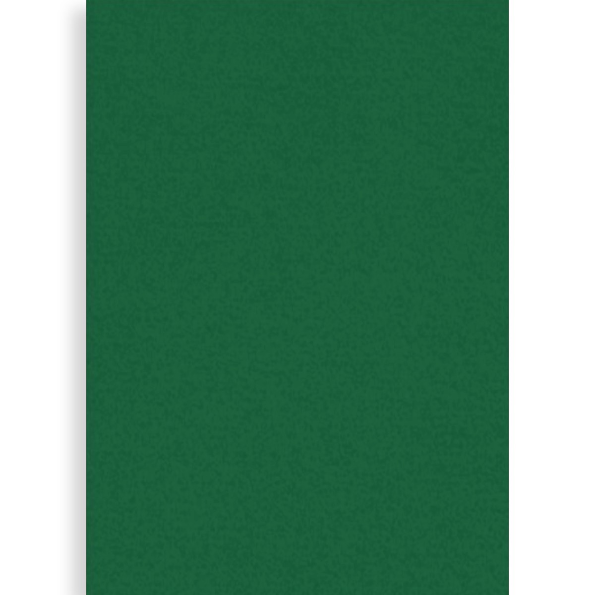 Postav verde 5 mm, 1,60 lat